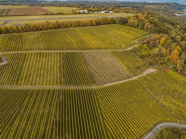 Flyutsikt Berømte Tyske Vinregioner Moselle River Lay Guels Landsby Høstens – stockfoto