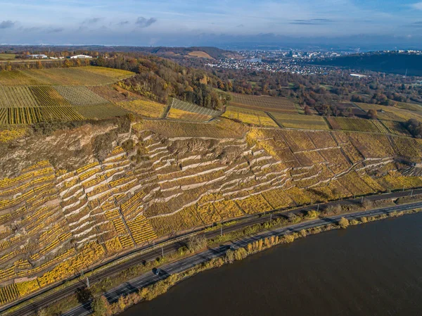 空中ビュー有名なドイツワイン地域モーゼル川レイとゲルス村秋の色 — ストック写真