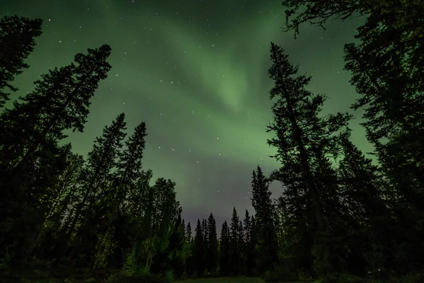 View Brilliant Green Aurora Shining Swedish Foggy Forest Landscape Tannfforsen — Stock Photo, Image