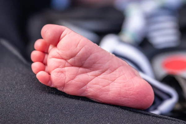 Yeni Doğan Bebeğin Tatlı Küçük Ayakları Seçici Odaklanma — Stok fotoğraf