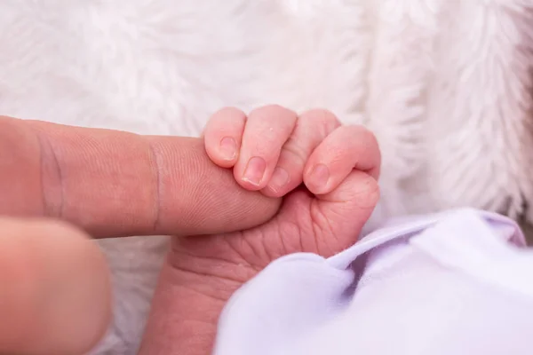 Yeni Doğmuş Bebek Eli Işaret Parmağını Tutuyor Anne Baba Bebek — Stok fotoğraf