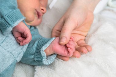 Yeni doğmuş bebek eli, işaret parmağını tutuyor. Anne, baba ve bebek arasındaki kavram ilişkisi.
