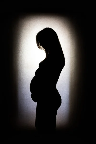 Beautyfull Silhouette Long Hair Pregnant Woman White Background Surroundet Shadow — Stock Photo, Image