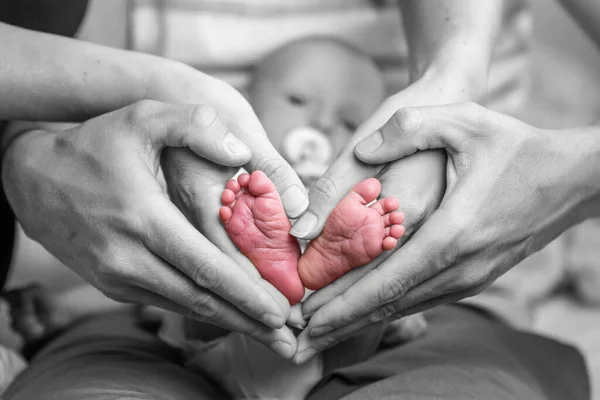 sweet newborn family forming Baby feet heart babys feet in mom and dad parent hands selective color.