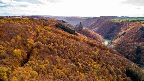 中世の城エレンブルクと秋の空中ビュー岩それの近くにブレンバッハのモーゼル川森林の丘と — ストック写真