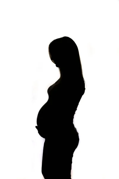 Beautyfull Silhouette Long Hair Pregnant Woman White Background Surroundet Shadow Stock Image