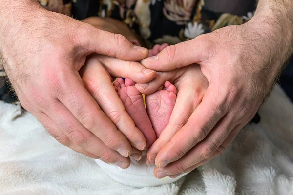 Yeni Doğmuş Tatlı Bir Aile Bebek Ayakları Anne Babaların Ayakları — Stok fotoğraf
