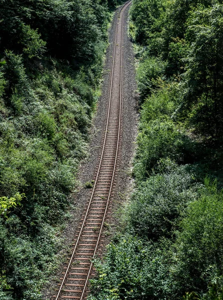 Chemin Fer Dans Forêt Printemps Tunnel Des Rails Des Arbres — Photo