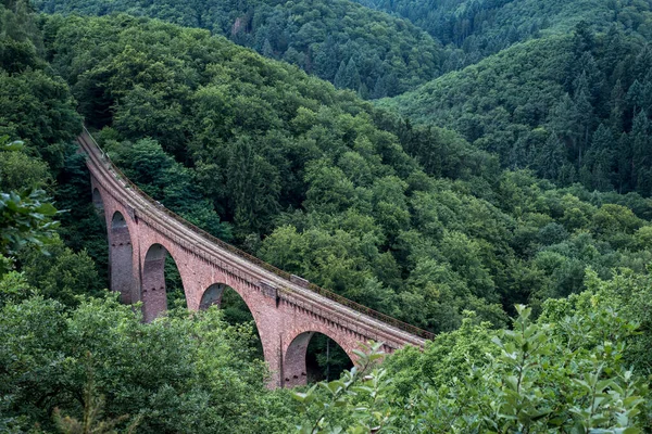 Παλιά Αψίδα Γέφυρα Σιδηροδρομική Γέφυρα Μεταξύ Λόφων Στο Πράσινο Δάσος — Φωτογραφία Αρχείου