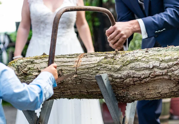 Молодая Супружеская Пара Жених Невеста Пилят Ствол Дерева Вместе Немецкая — стоковое фото