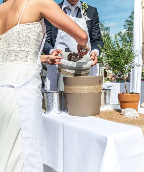 結婚式のカップルの花嫁と新郎はローズマリーの伝統と鍋を植える — ストック写真