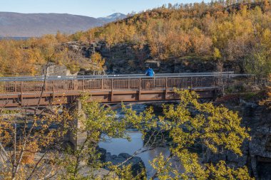 Autum Abisko Kanyon Nehri Abiskojakka Ulusal Parkı, Norrbottens, Norrbottens, İsveç 'in kuzeyindeki Laponya manzarası.