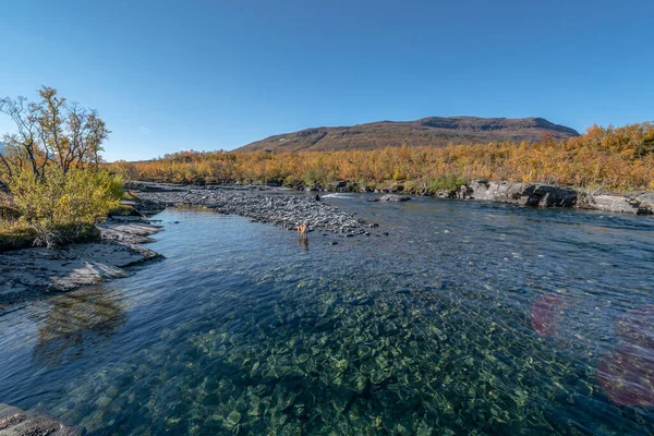 Parque Nacional Autum Abisko Canyon River Abiskojakka Norrbottens Norrbottens Laponia — Foto de Stock