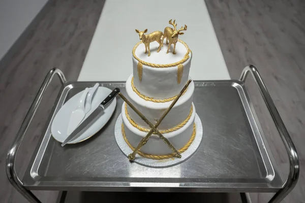 Dois Renderizadores Toppers Bolo Casamento Com Varas Magig Elementos Ouro — Fotografia de Stock