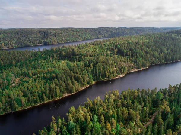 Jezero Ragnerudssjoen Dalslandu Švédsko Krásné Přírodní Les Pinetree Švédské Domy — Stock fotografie