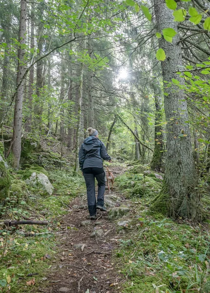 Meisjeswandelen Aan Het Ragnerudssjoen Dalsland Zweden Prachtig Natuurbos Dennenboom Zweeds — Stockfoto