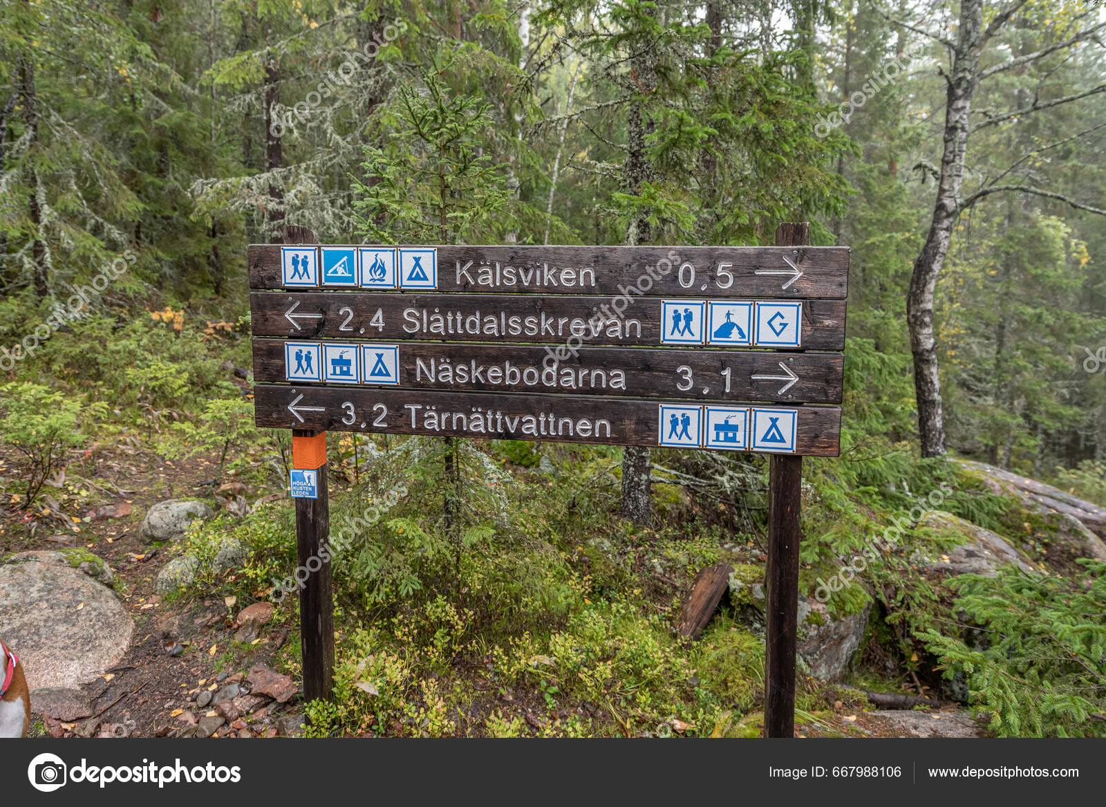 Hiking Footpath Forest Trees Skuleskogen National Park Sweden Northern  Europe Stock Photo by ©donogl 667988106