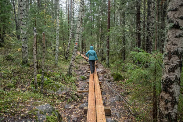 北ヨーロッパのスカルケソー国立公園の木間の森林の木製ハイキングの歩道 北ヨーロッパのホガクステン — ストック写真