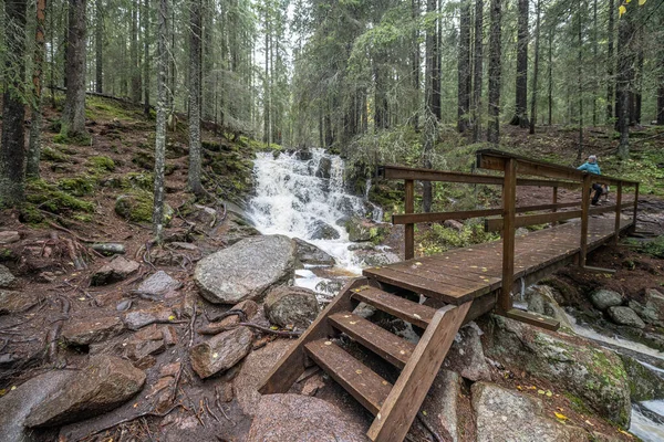 Sendero Madera Bosque Entre Árboles Parque Nacional Skuleskogen Suecia Norte — Foto de Stock