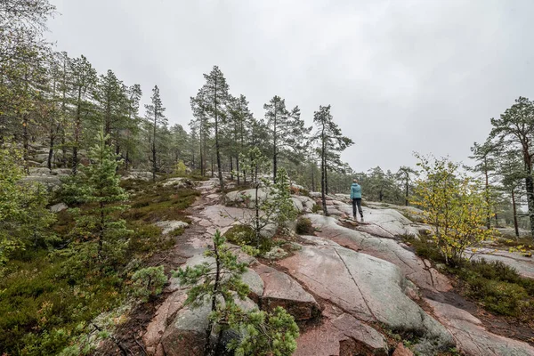 Wanderweg Wald Zwischen Bäumen Skuleskogen Nationalpark Schweden Nordeuropa Hoga Kusten — Stockfoto