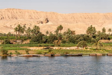 Nil 'in bereketli kıyılarının panoramik görüntüsü ve Lüksör Mısır istikameti yakınlarındaki nehir gezisi sırasında günlük yaşam.