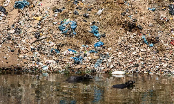 Nil River Egypt Filled Trash Plastic Ecological Disaster — Stock Photo, Image