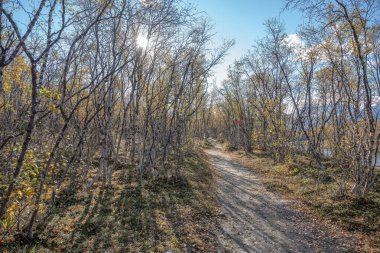 Abisko Ulusal Parkı 'ndaki Kungsleden Yürüyüş yolunun güneşli sonbahar manzarası Kiruna Belediyesi Laponya İsveç.