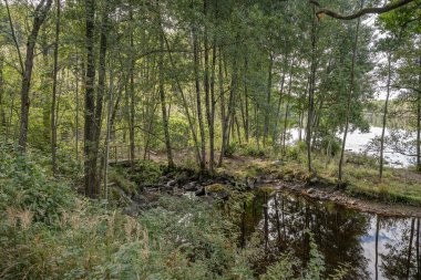 Dalsland İsveç 'teki Ragnerudssjoen Gölü. Güzel doğa ormanları..