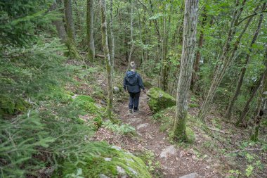 Dalsland 'da Ragnerudsjoen Gölü' nde yürüyüş yapan bir kız İsveç 'te güzel doğa ormanı çam ağaçları.