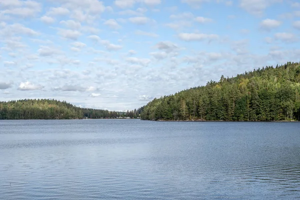 Jezioro Ragnerudssjoen Dalsland Szwecja Piękny Las Pinetree Szwedzkie Domy — Zdjęcie stockowe