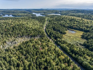 Kanada, Quebec 'teki La Mauricie Ulusal Parkı' nda göl kenarındaki ormanın manzarası çok güzel..