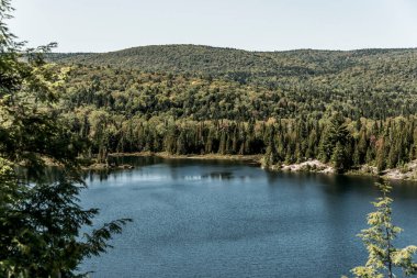 Kanada, Quebec 'teki La Mauricie Ulusal Parkı' nda göl kenarındaki ormanın manzarası çok güzel..