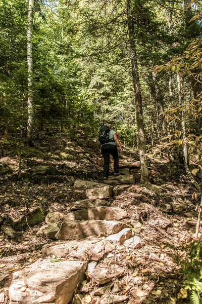 Dziewczyna Piesze Wycieczki Lesie Pobliżu Jeziora Parku Narodowym Mauricie Quebec — Zdjęcie stockowe