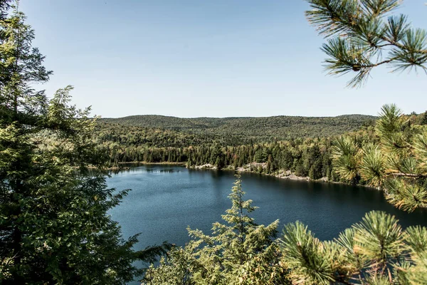 View Forest Lake Mauricie National Park Quebec Canada Beautiful Day — Stock Photo, Image