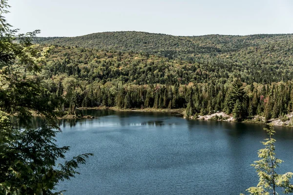 Vista Sulla Foresta Vicino Lago Nel Parco Nazionale Mauricie Quebec — Foto Stock