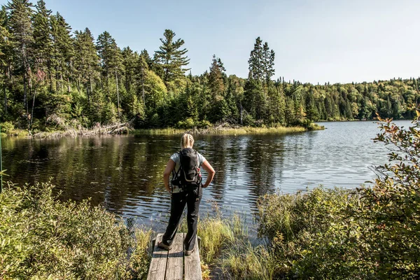 Dívka Turistika Lese Blízkosti Jezera Národním Parku Mauricie Quebec Kanada — Stock fotografie