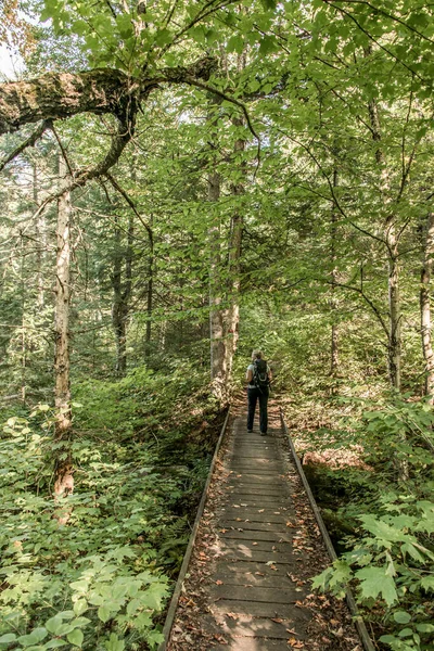 Mädchen Wandern Wald Der Nähe Des Sees Mauricie Nationalpark Quebec — Stockfoto