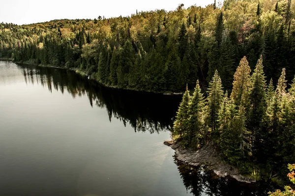 View Forest Lake Mauricie National Park Quebec Canada Beautiful Day — Stock Photo, Image