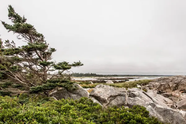 Prohlídka Pláže Ránu Národním Parku Kejimkujik Seaside Nova Scotia Kanada — Stock fotografie