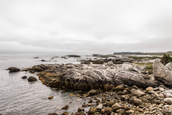 Explorando Playa Por Mañana Parque Nacional Kejimkujik Seaside Nueva Escocia —  Fotos de Stock