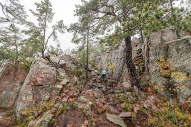 İsveç 'in kuzeyindeki Skuleskogen Ulusal Parkı' ndaki ağaçlar arasında ormanda yürüyüş yolu. Hoga Kusten.