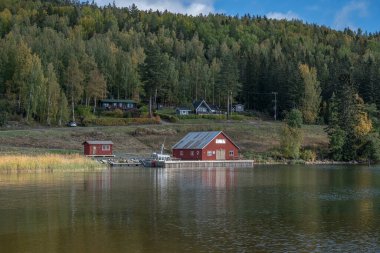 İsveç evleri ve dağ karıncaları Hoga Kusten İsveç 'te kamp yapan Skuleberget kamp karavanındaki deniz karıncaları..
