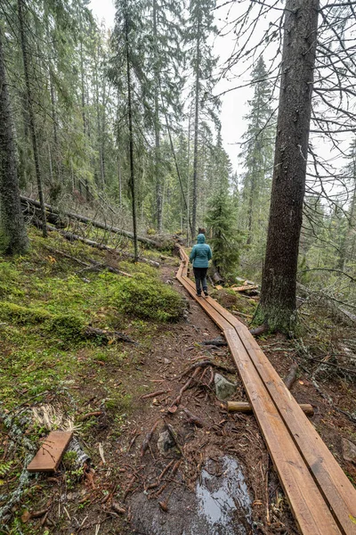 Holzwanderweg Wald Zwischen Bäumen Skuleskogen Nationalpark Schweden Nordeuropa Hoga Kusten — Stockfoto