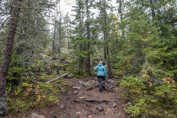 Wandelpad Het Bos Tussen Bomen Skuleskogen Nationaal Park Zweden Noord — Stockfoto