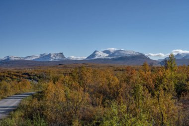Abisko 'da sonbahar sezonu, arka planda dağlar, Abisko, İsveç, İsveç.