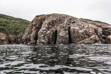 Cape Breton Adası Sahil Hattı 'nın panoramik manzarası Cabot Yolu manzaralı rotası, Nova Scotia Hghlands Kanada.