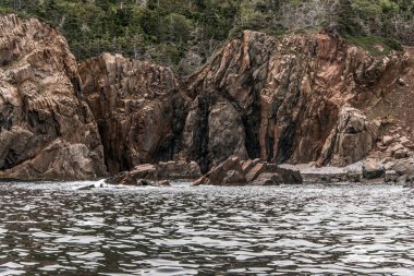 Cape Breton Adası Sahil Hattı 'nın panoramik manzarası Cabot Yolu manzaralı rotası, Nova Scotia Hghlands Kanada.