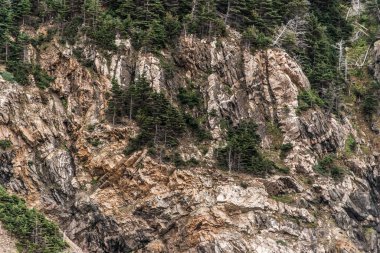 Cape Breton Adası Sahil Hattı 'nın panoramik manzarası Cabot Yolu manzaralı rotası, Nova Scotia Hghlands Kanada.