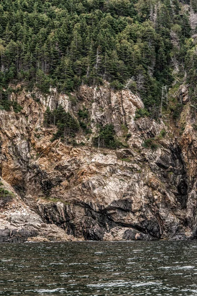 Een Panoramisch Uitzicht Cape Breton Island Coast Line Klif Schilderachtige — Stockfoto