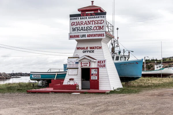 2017 Cape Breton Island Canada Pleasant Bay Marina Fishing Village — Stock Photo, Image